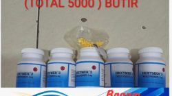 Ungkap Kasus Peredaran Obat Golongan G, Polsek Pinang Sita 9.910 Butir Obat Keras